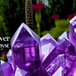 Amethyst in the Garden!